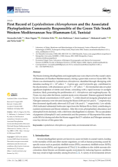 Vignette du fichier