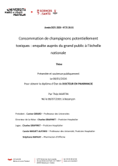 Vignette du fichier
