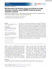 Vignette du fichier