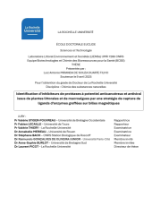 Vignette du fichier