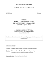 Vignette du fichier