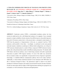 Vignette du fichier