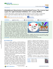 Vignette du fichier