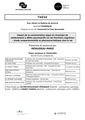 Vignette du fichier
