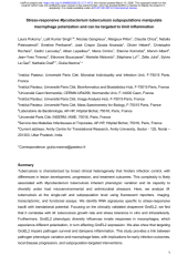 Vignette du fichier