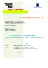 Vignette du fichier