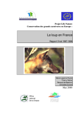 Vignette du fichier