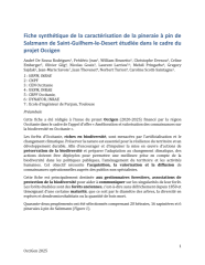 Vignette du fichier