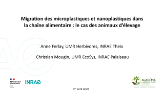 Vignette du fichier