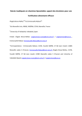 Vignette du fichier