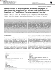 Vignette du fichier