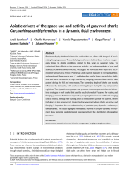 Vignette du fichier