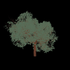 tree_ambient.jpg