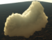 cloud1.png