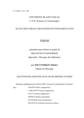 Vignette du fichier