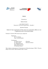 Vignette du fichier