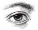 _oeil.png