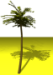 x-palmtree.png