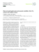 Image document