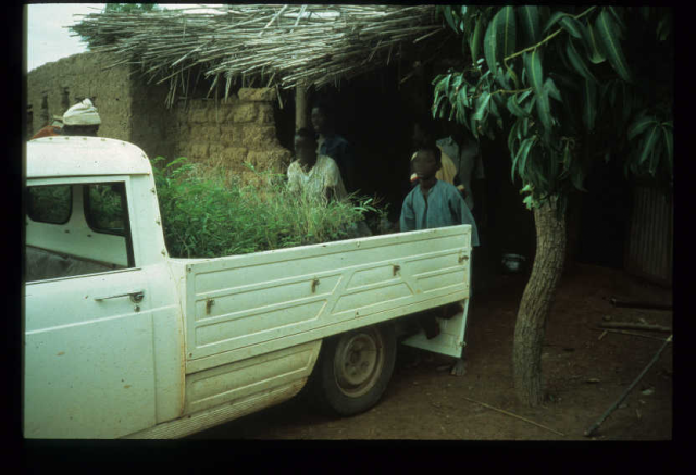 Économie et politique au Sahel