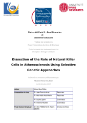 Vignette du fichier