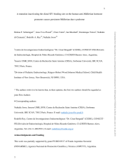 Vignette du fichier