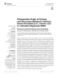 Image document