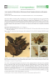 Deposit thumbnail