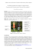 Image document