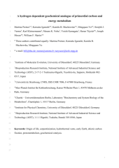 Vignette du fichier