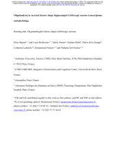 Vignette du fichier