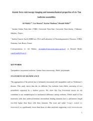 Vignette du fichier