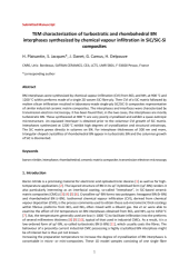 Vignette du fichier