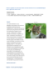 Image document