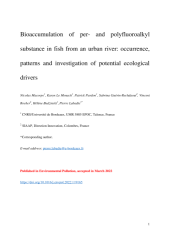 Vignette du fichier