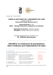 Vignette du fichier