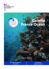 Vignette du fichier