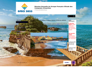 Accéder au site de la conférence