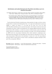 Vignette du fichier