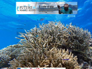 Access the conference website