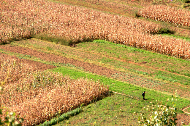 Politique agricole : perspectives transaréales