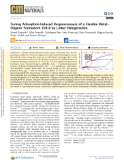 Vignette du fichier