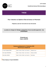 Vignette du fichier