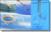 bubblyWater.jpg