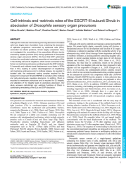 Vignette du fichier