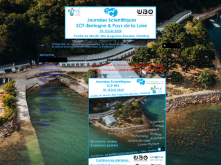 Access the conference website