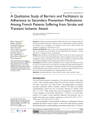 Vignette du fichier