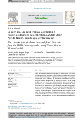 Vignette du fichier