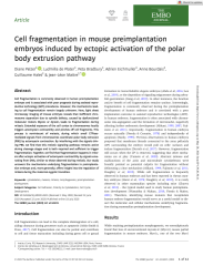 Vignette du fichier