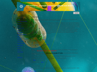 Accéder au site de la conférence